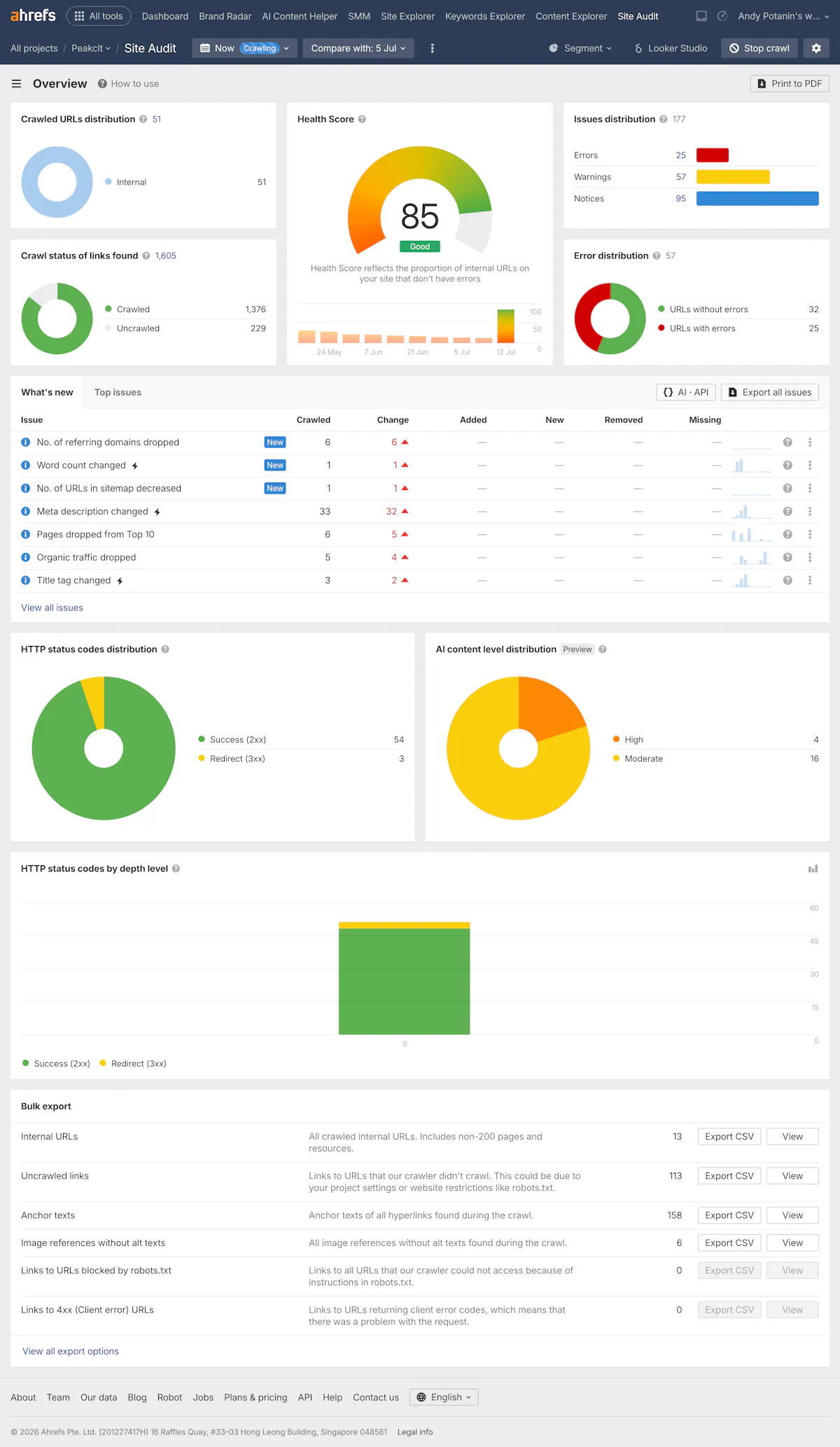 Full Ahrefs Site Audit overview showing health score 85 with 25 errors 57 warnings and 95 notices HTTP status distribution dominated by success responses and AI content level distribution