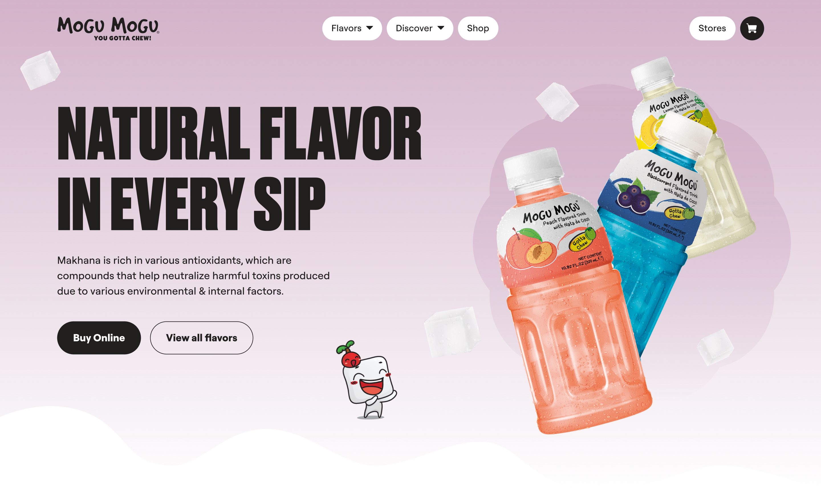 Meet your next favorite